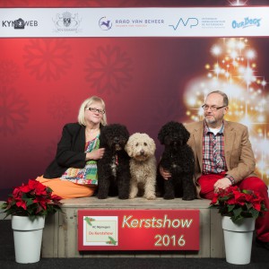 spaansewaterhond_kerstshow_2016_20161217