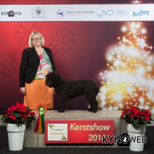 683_kerstshow_20161217